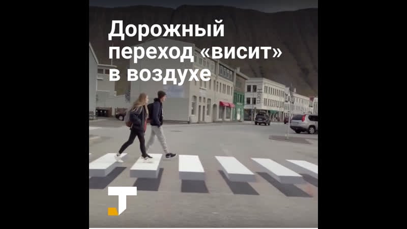 «висящая» зебра в исландии