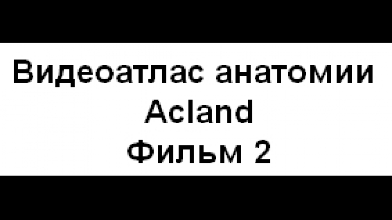 Видеоатлас анатомии acland фильм 2 целиком