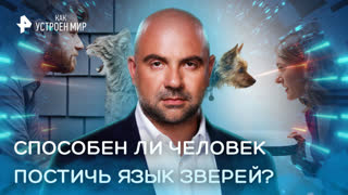 Известия – новости политики, экономики, спорта, культуры | obitelpokrova.ru