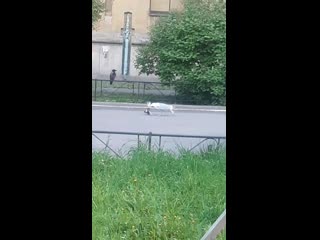 Видео от ильи борискина