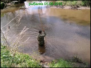 Summer sketches beautiful views