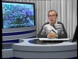 Цветы урок 4 9 декоративные деревья и кустарники часть 4