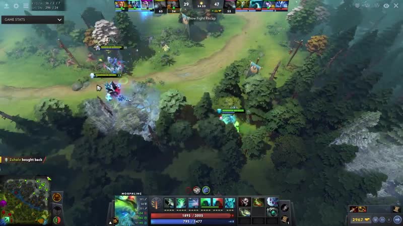 Alliance nikobaby – morphling gameplay