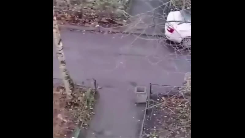 Показуха это наше все!