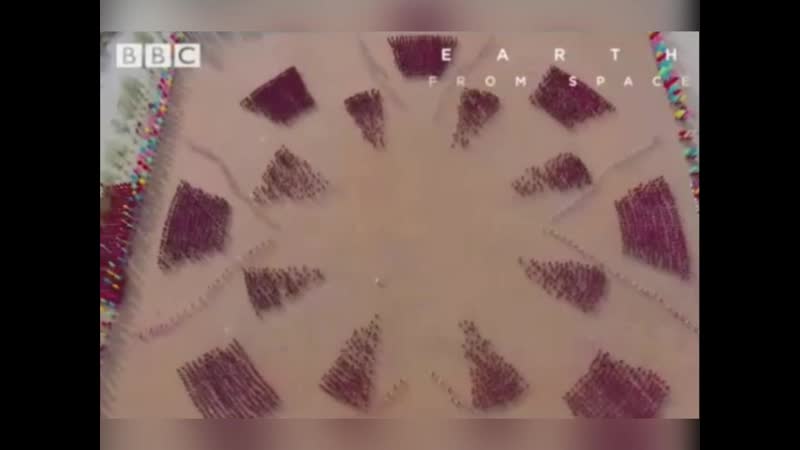 Тренироа монахов шао линя завораживает nhtybhjdrf vjyf[jd ifj kbyz pfdjhf;bdftn