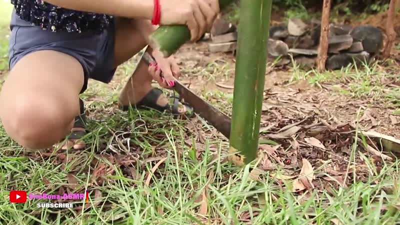 Идеи для приготовления куриного яйца в бамбуке ideas cooking chicken egg in bamboo bltb lkz ghbujnjdktybz rehbyjuj zqwf d,fv,e
