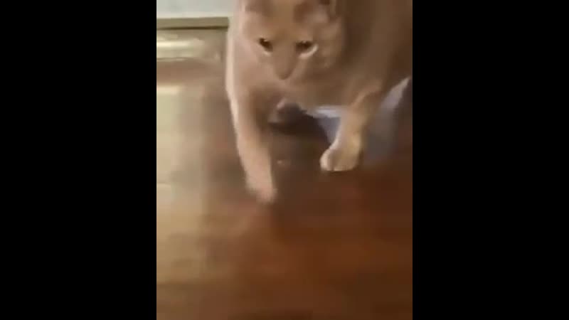 Воздушный шарик проглотил