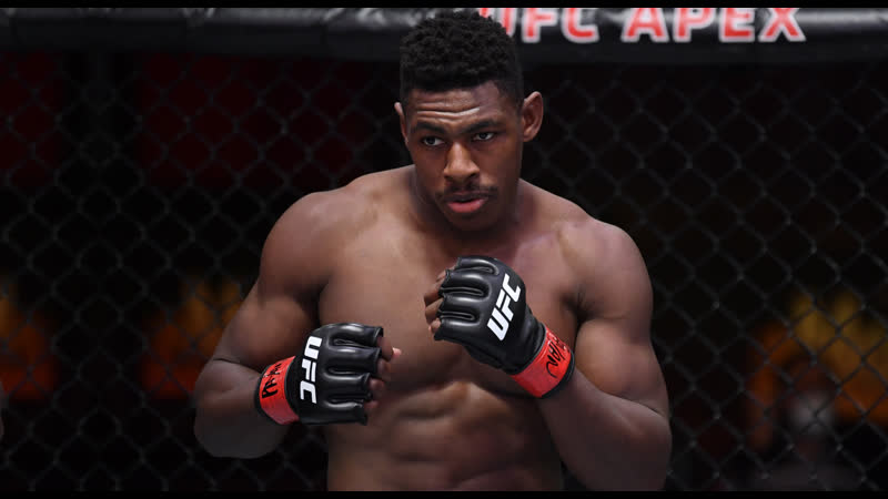 Восходящие звезды ufc