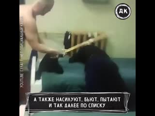 Жесткие пытки зэков | дерзкий квадрат
