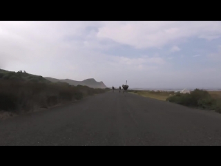 Cyclists chased by an ostrich the funniest thing youll see today