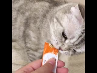 Маша любит "мнямс"!