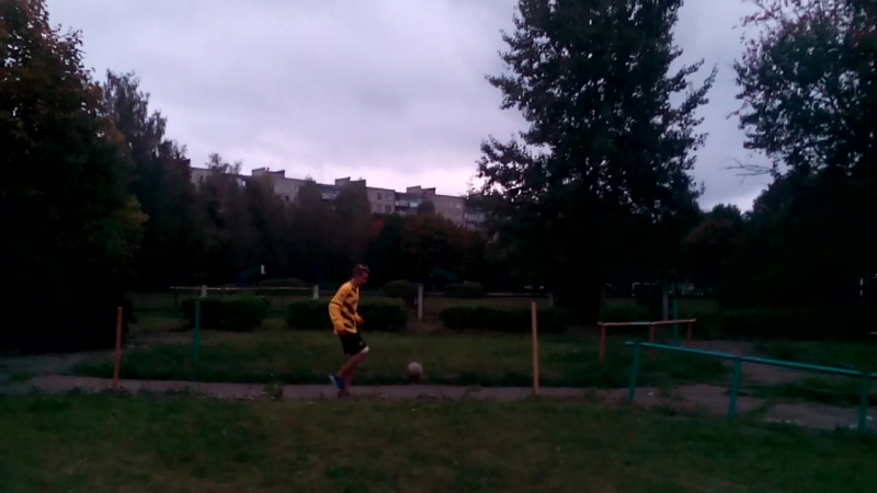 Тренироа димы малевича