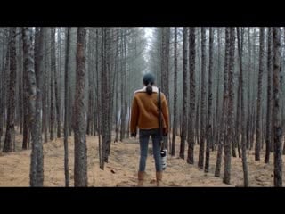 Параллельный лес (2019) parallel forest