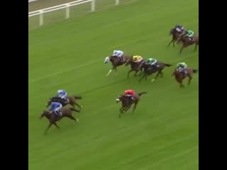 Скачки «роял аскот»