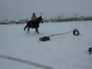 Лиза и ночка