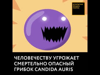 Человечеству угрожает смертельно опасный грибок candida auris