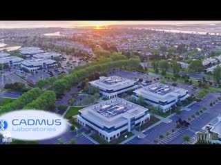 Cadmus labs where nothing super ever happens mp4