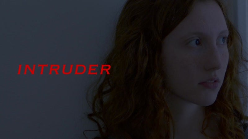 Незваный гость (2023) intruder