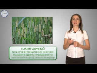 32 биология 6кл споровые растения плауны