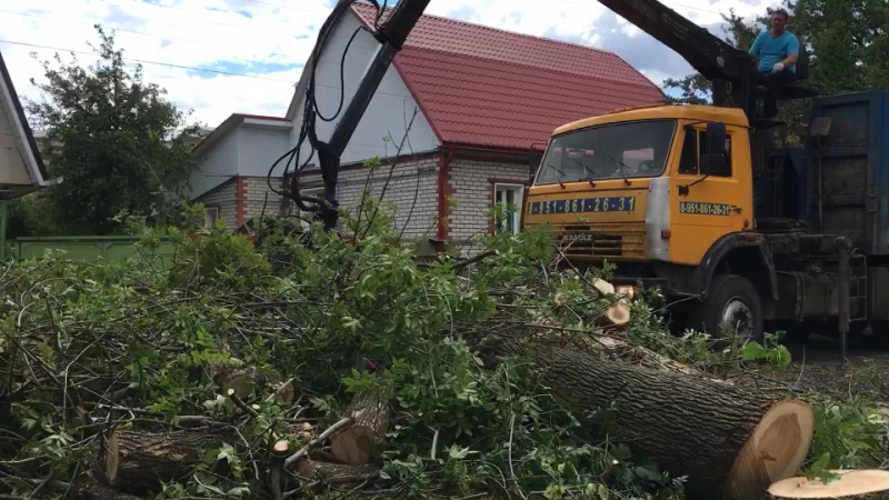 Спиливание, удаление деревьев, кустарника, расчистка участков, покос травы и вывоз любой сложности! 👍 ☎ 8 920 211 76 22