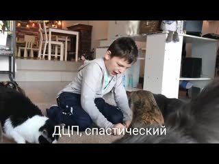 Эдвард в котокафе