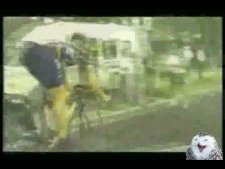 Велосипедистки такие велосипедистки