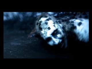 Marilyn manson 2001 the nobodies