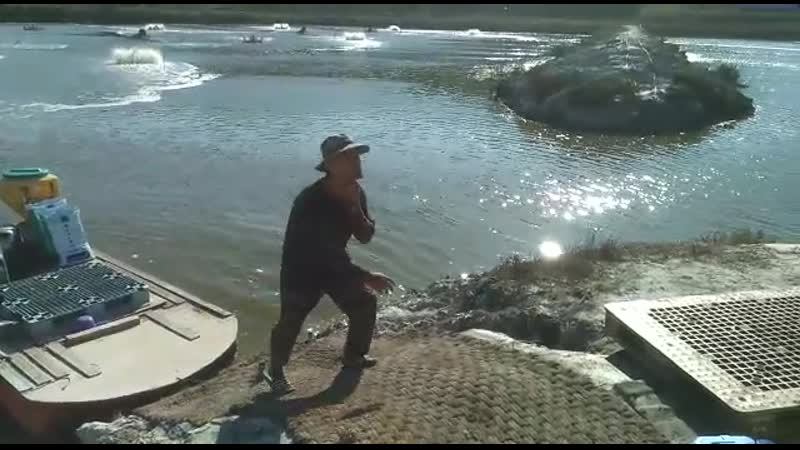 Немного видео с рабочих вакансий