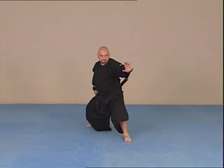 Xtreme katana juan hobre apprentices (koga ryu ninjutsu)