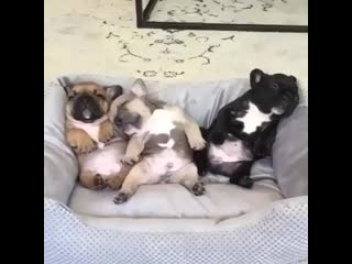 Fit bloger 20200616 170345 0 mp4