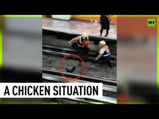 Chicken terrorizes mexico subway