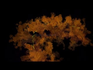 Ольга ивашкина как устроена память и можно ли ее изменить