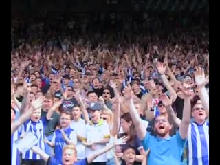 Weve all missed this ️ swfc