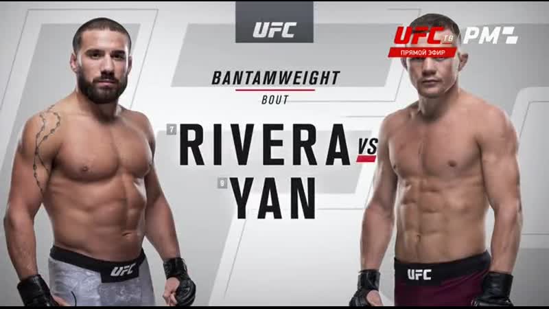 Jimmie rivera vs petr yan (2019)