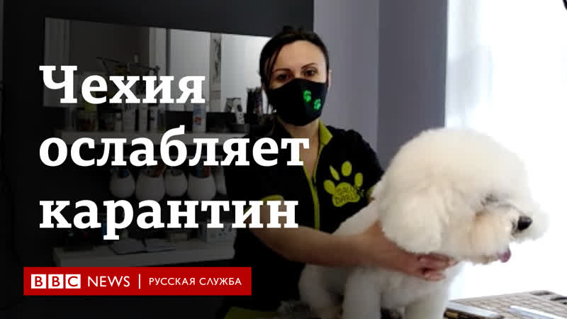 Зоопарки и собачьи салоны чехия смягчает меры по борьбе с covid 19