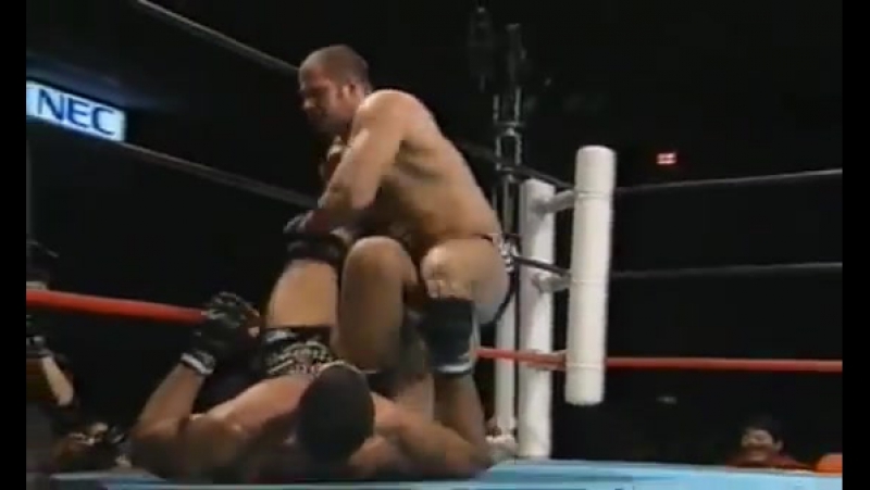 Федор емельяненко / рикардо арона