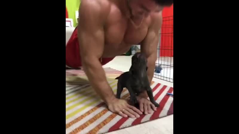 Роман капаклы