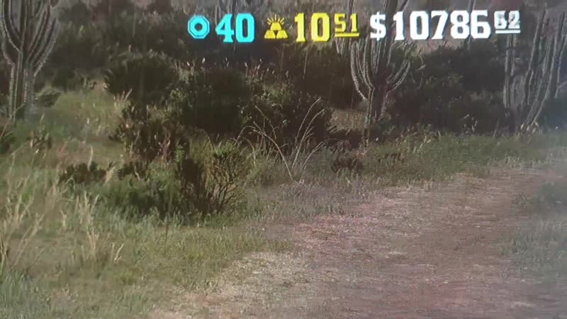 Доказательства прокачки в rdr 2 online 2020