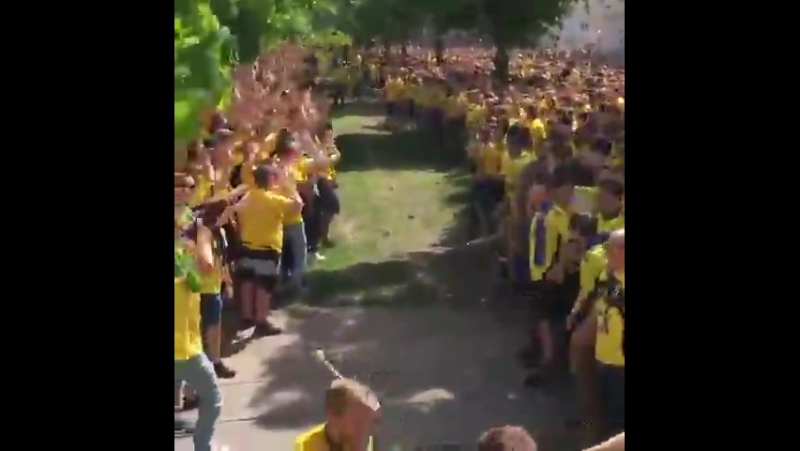 Фаны "брондбю"