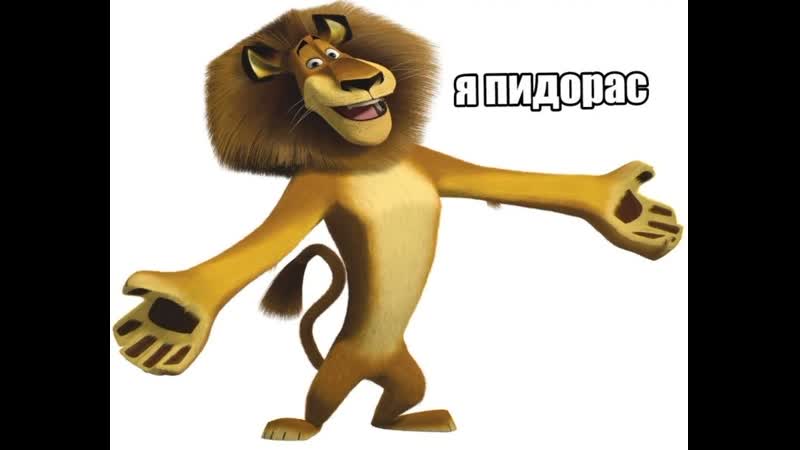 #калолизация это мадагаскар, детка часть 1 (madagascar)