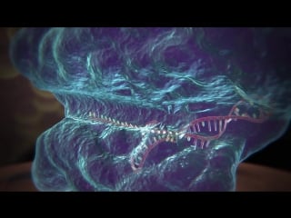 Genome editing with crispr cas9