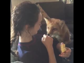 Some of my favourites from this sweetie