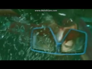 Kraken tentacles of the deep(2006) female scuba diver gets eaten