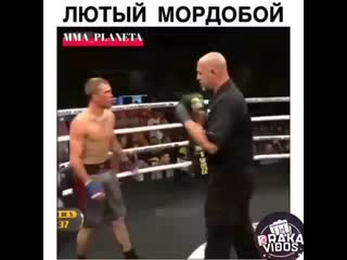 Жесткий мордобой