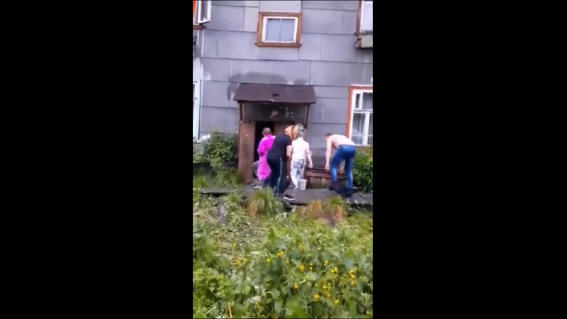 [bd] мурманская разборка