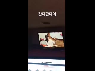 191111 gunmins insta story with benji benji 벤지 gunmin 건민 boysingroove 비아이지 (1) mp4