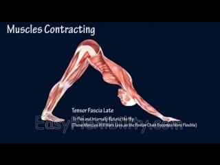 Sls how to downward facing dog yoga muscle animation easyflexibility