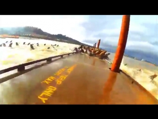 Как голубей (vhs video)