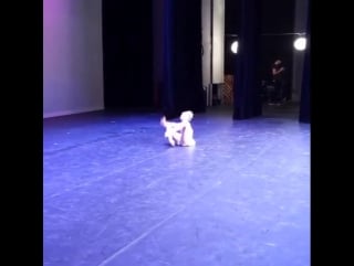 21/11/2015 бринн "mystic beauty"