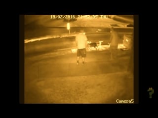 Хозяин отчаянно защитил свою собаку от двух напавших питбулей (vhs video)